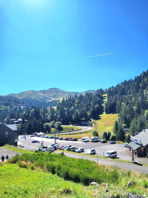 Duplex 4/6p Le Familial Apartment Laveissiere