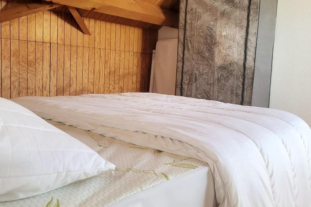 Duplex 4/6p Le Familial * Laveissiere